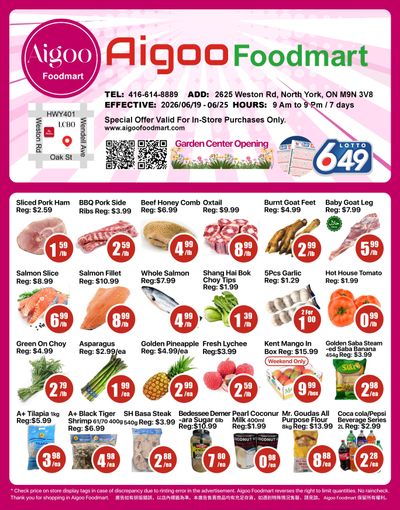 Aigoo Foodmart Flyer June 19 to 25