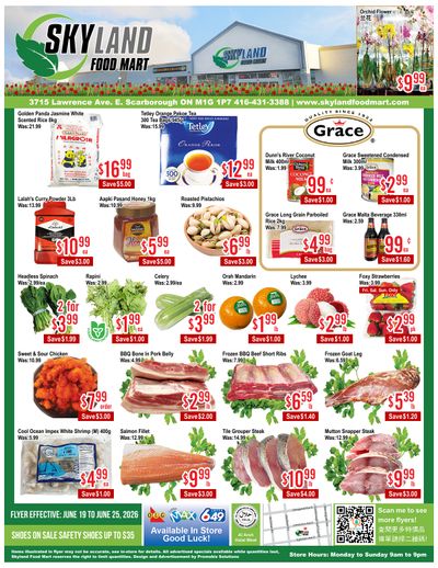 Skyland Food Mart Flyer June 19 to 25