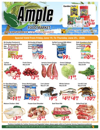Ample Food Market (Brampton) Flyer June 19 to 25