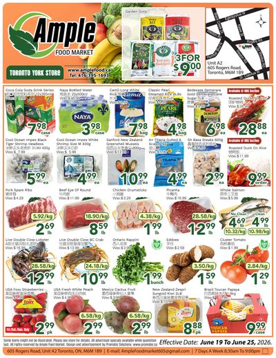 Ample Food Market (North York) Flyer June 19 to 25