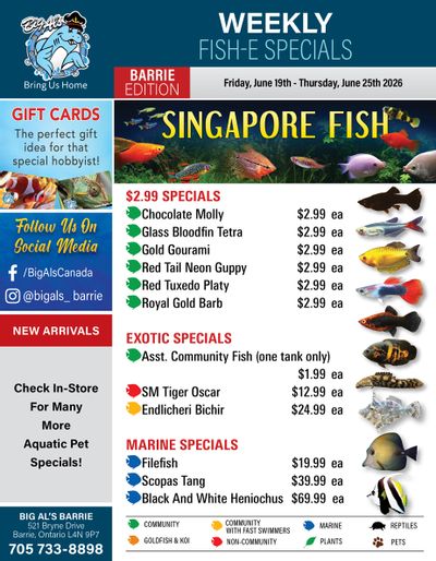Big Al's (Barrie) Weekly Specials June 19 to 25