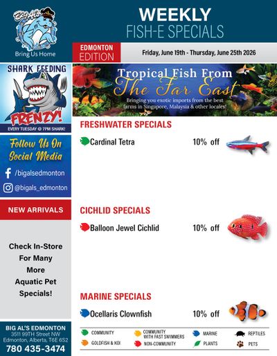Big Al's (Edmonton) Weekly Specials June 19 to 25
