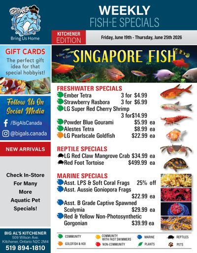Big Al's (Kitchener) Weekly Specials June 19 to 25