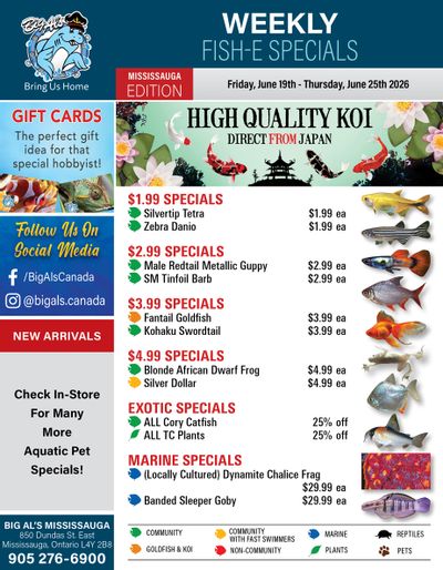 Big Al's (Mississauga) Weekly Specials June 19 to 25