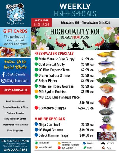 Big Al's (North York) Weekly Specials June 19 to 25