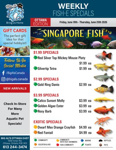 Big Al's (Ottawa) Weekly Specials June 19 to 25