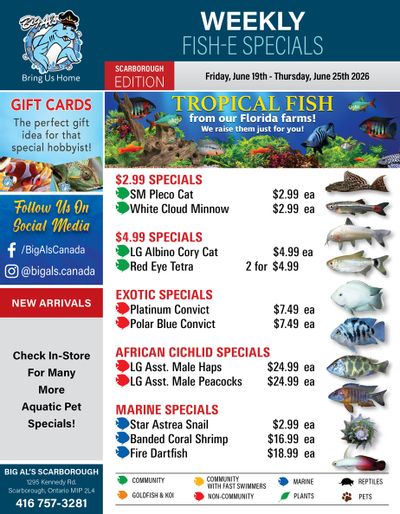 Big Al's (Scarborough) Weekly Specials June 19 to 25