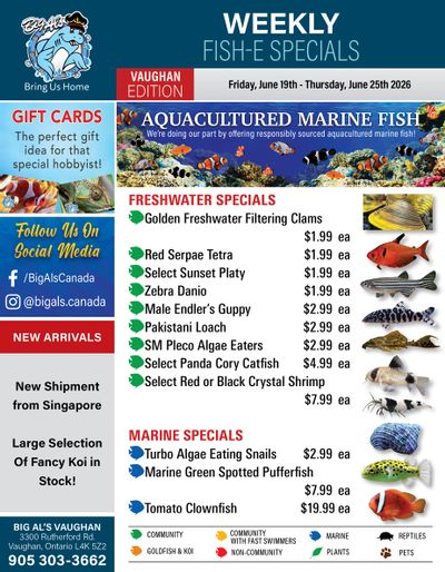 Big Al's (Vaughan) Weekly Specials June 19 to 25