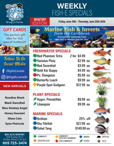 Big Al's (Whitby) Weekly Specials June 19 to 25