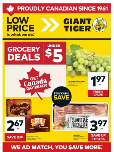 Giant Tiger Canada Flyer Deals June 24th – 30th: Shopsy’s Wieners $2.97 + More