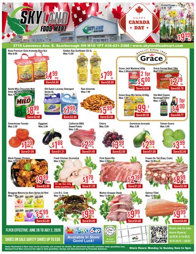 Skyland Food Mart Flyer June 26 to July 2