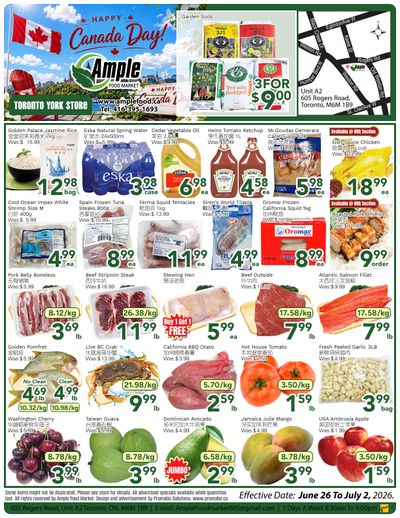 Ample Food Market (North York) Flyer June 26 to July 2