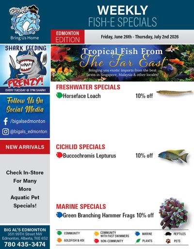 Big Al's (Edmonton) Weekly Specials June 26 to July 2