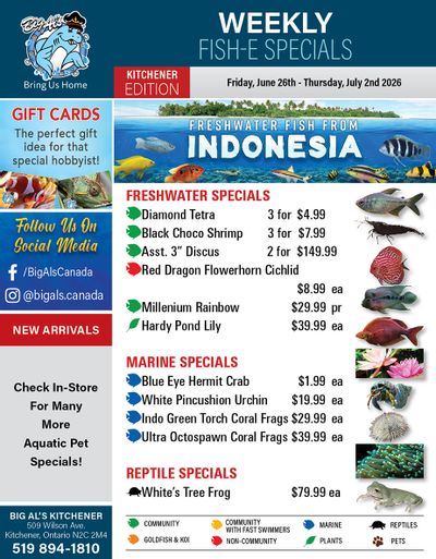 Big Al's (Kitchener) Weekly Specials June 26 to July 2