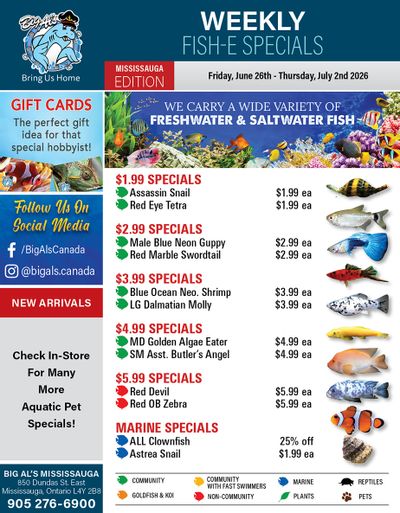 Big Al's (Mississauga) Weekly Specials June 26 to July 2