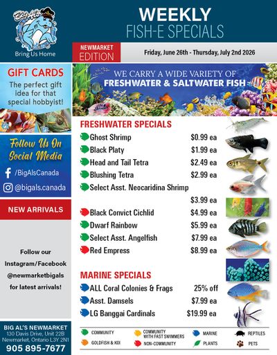 Big Al's (Newmarket) Weekly Specials June 26 to July 2