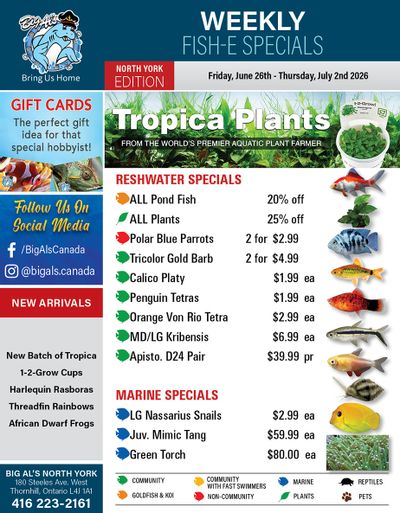 Big Al's (North York) Weekly Specials June 26 to July 2
