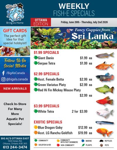 Big Al's (Ottawa) Weekly Specials June 26 to July 2