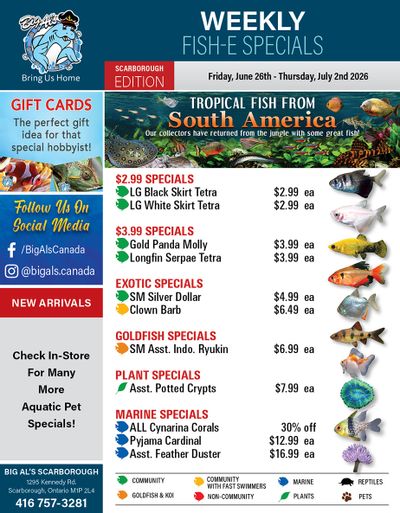 Big Al's (Scarborough) Weekly Specials June 26 to July 2