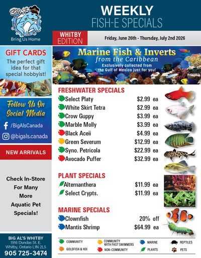 Big Al's (Whitby) Weekly Specials June 26 to July 2