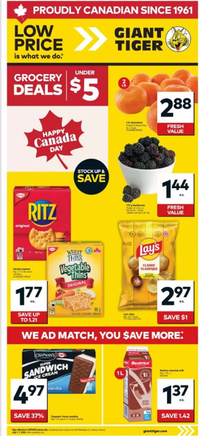Giant Tiger Canada Flyer Deals July 1st – 7th