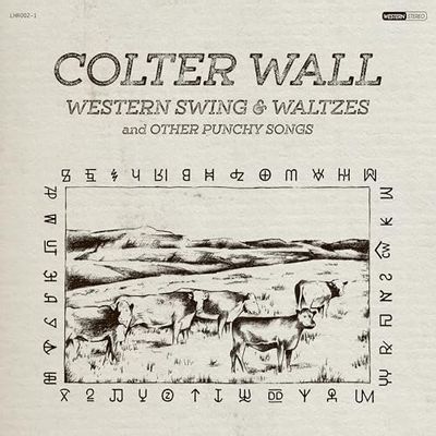 Western Swing & Waltzes And Other Punchy Songs