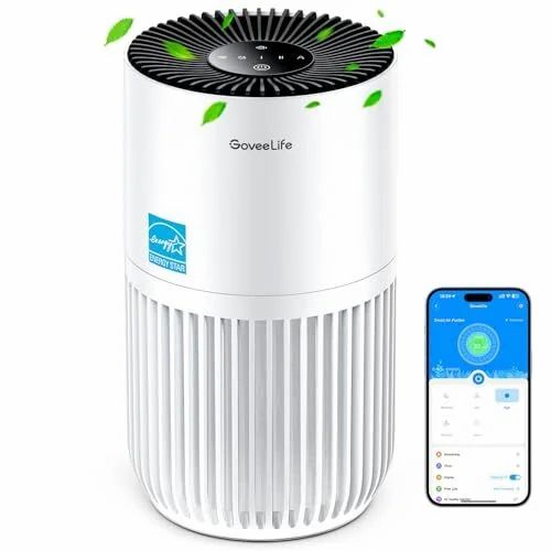 Amazon.ca: GoveeLife Air Purifier BOGO $108.99