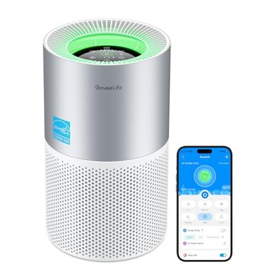 GoveeLife Air Purifier BOGO
