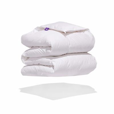 Costco: Save $100-170 (All Sizes on Sale) on Canadian Down & Feather Company Hutterite White Goose Down Duvet