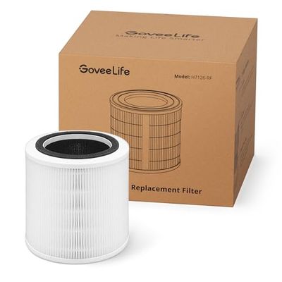 GoveeLife Air Purifier BOGO