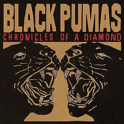 Chronicles Of A Diamond