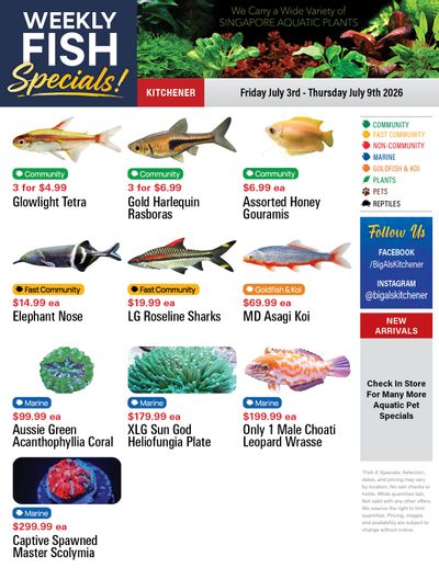 Big Al's (Kitchener) Weekly Specials July 3 to 9