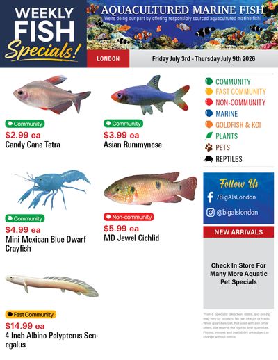Big Al's (London) Weekly Specials July 3 to 9