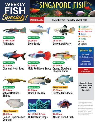 Big Al's (Mississauga) Weekly Specials July 3 to 9