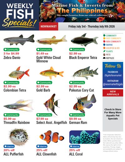 Big Al's (Newmarket) Weekly Specials July 3 to 9