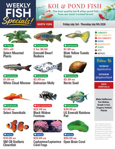 Big Al's (North York) Weekly Specials July 3 to 9