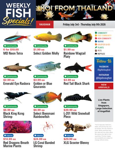 Big Al's (Vaughan) Weekly Specials July 3 to 9