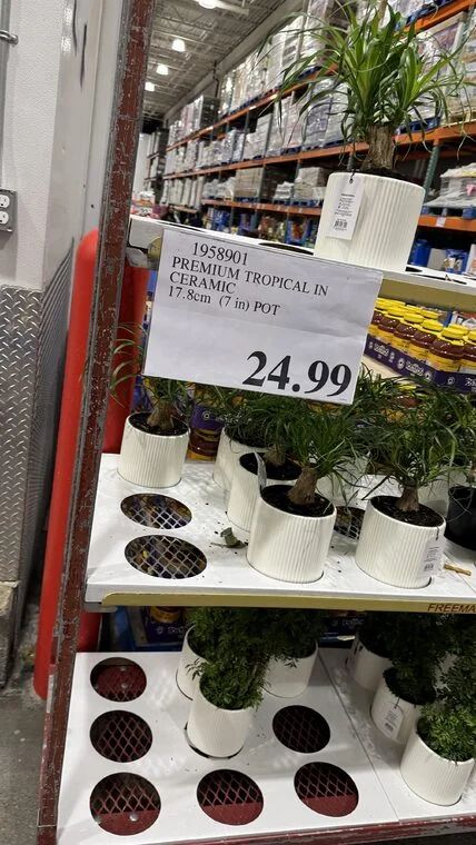 Costco Scarborough /GTA Photo Report for Jul 6th - Jul 12th 2026