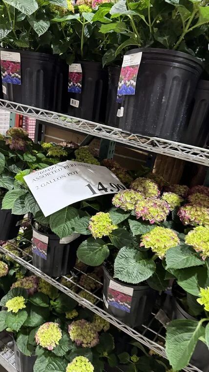 Costco Scarborough /GTA Photo Report for Jul 6th - Jul 12th 2026