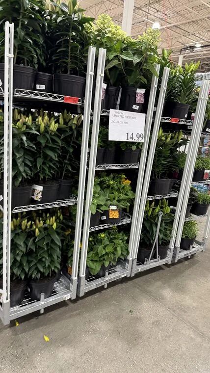 Costco Scarborough /GTA Photo Report for Jul 6th - Jul 12th 2026