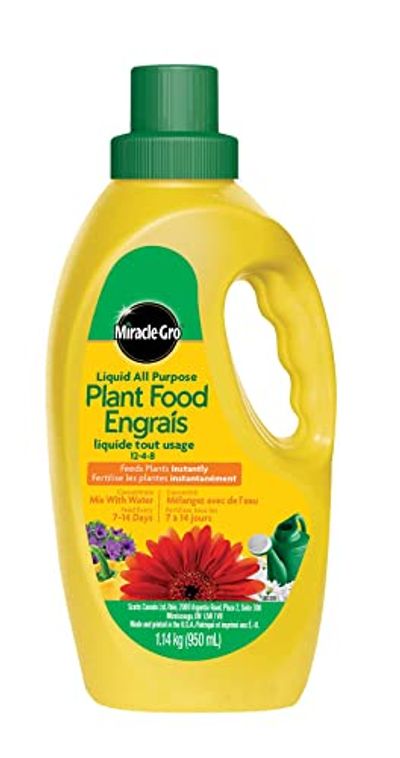 Miracle-Gro Liquid All Purpose Plant Food, 950mL | Concentrated Instant Feed for Healthy, Gorgeous Plants | Feeds All Flowers, Veggies & Houseplants