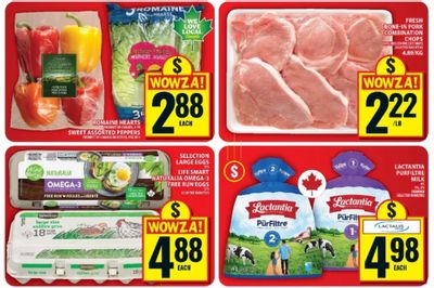 Food Basics Ontario: Lactantia PureFiltre 4L Milk $4.98 July 9th – 15th + More