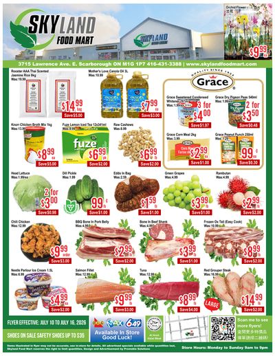 Skyland Food Mart Flyer July 10 to 16