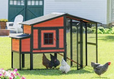 Costco: Backyard Chicken Coop Clearance. $199.97. Online. Delivered to your backyard. YMMV