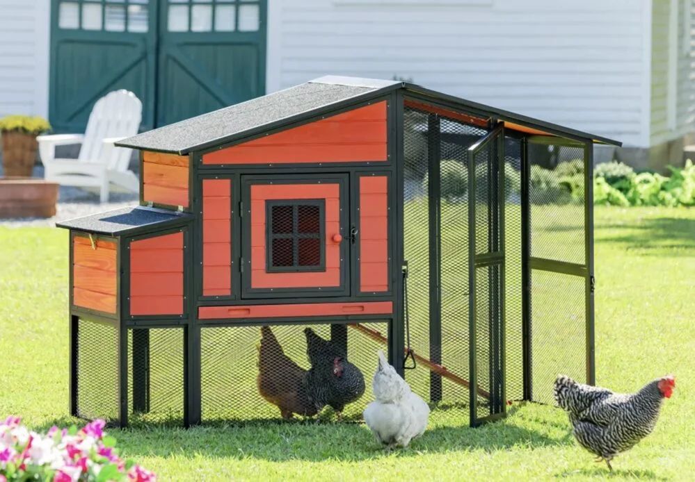 Costco: Backyard Chicken Coop Clearance. $199.97. Online. Delivered to your backyard. YMMV
