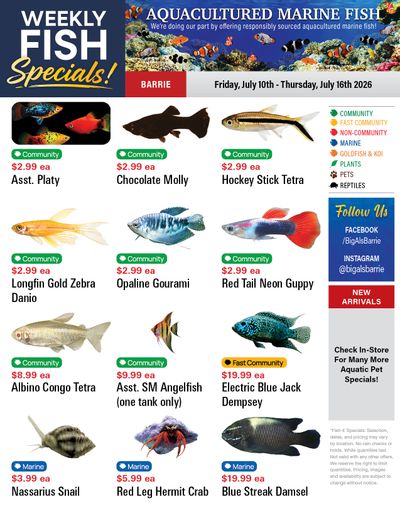 Big Al's (Barrie) Weekly Specials July 10 to 16