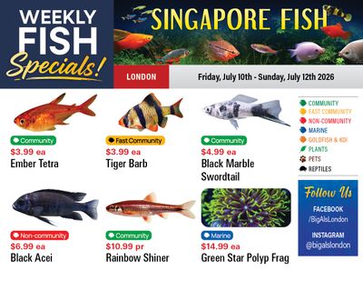 Big Al's (London) Weekend Specials July 10 to 12