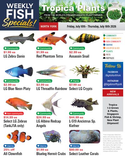 Big Al's (North York) Weekly Specials July 10 to 16