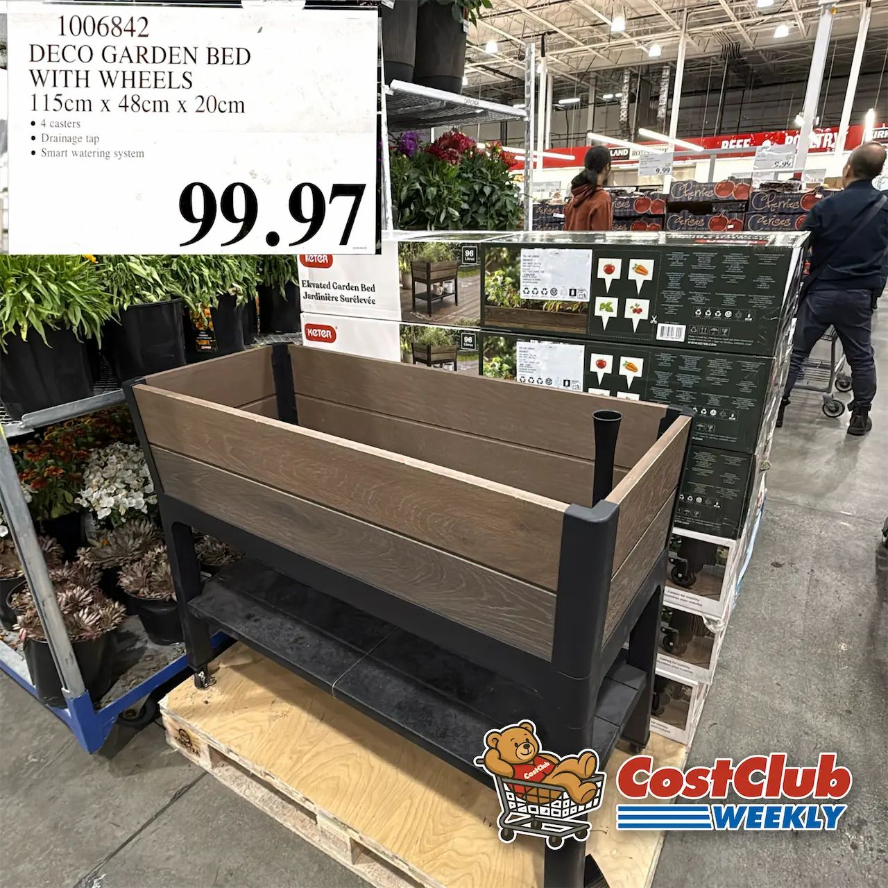 Costco Canada West (BC, AB, SK, MB) | Weekend Update | Jul 10 - 12 | 379 pics | 2026 Week #28 WEEKEND