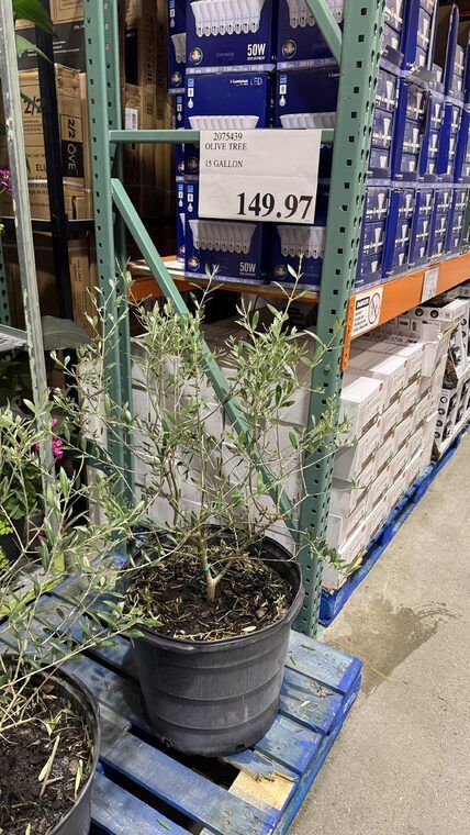Costco Scarborough /GTA Photo Report for Jul 13th - Jul 19th 2026